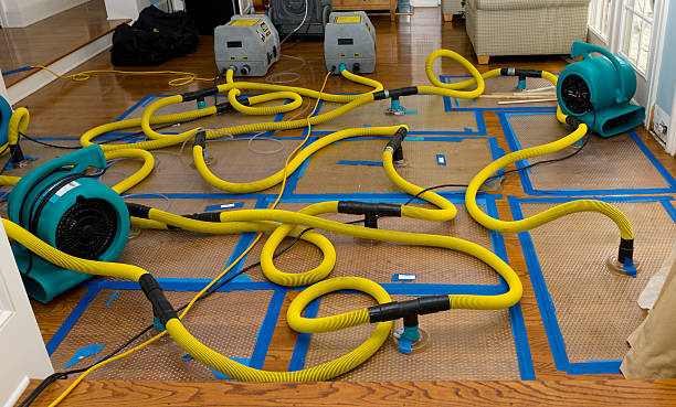 Professional Flood Damage Restoration technician working in Indianola, MS